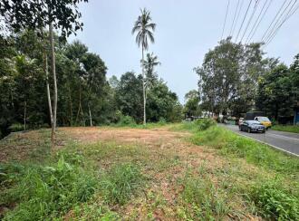 Commercial Land for Sale in Kottayam, Thalayolaparambu, Vettikkattumukku, Just opposite Vettikkattumukk Gurumandir