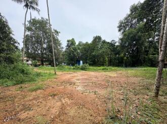 Commercial Land for Sale in Kottayam, Thalayolaparambu, Vettikkattumukku, Just opposite Vettikkattumukk Gurumandir