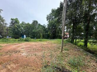 Commercial Land for Sale in Kottayam, Thalayolaparambu, Vettikkattumukku, Just opposite Vettikkattumukk Gurumandir