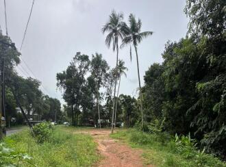Commercial Land for Sale in Kottayam, Thalayolaparambu, Vettikkattumukku, Just opposite Vettikkattumukk Gurumandir