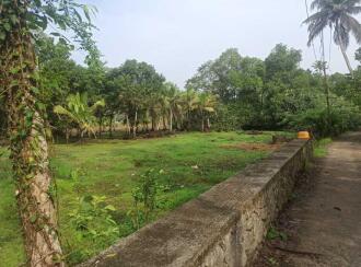 Residential Land for Sale in Kottayam, Kottayam town, Kummanam, Thodambral Road