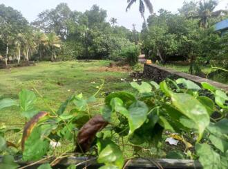 Residential Land for Sale in Kottayam, Kottayam town, Kummanam, Thodambral Road