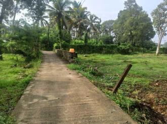 Residential Land for Sale in Kottayam, Kottayam town, Kummanam, Thodambral Road