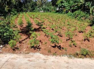 Residential Land for Sale in Kottayam, Changanassery, Changanassery, Malakunnam (Near Kargil Junction)