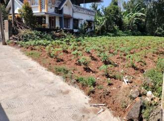Residential Land for Sale in Kottayam, Changanassery, Changanassery, Malakunnam (Near Kargil Junction)