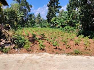Residential Land for Sale in Kottayam, Changanassery, Changanassery, Malakunnam (Near Kargil Junction)