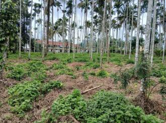 Residential Land for Sale in Wayanad, Sulthan bathery, Sultan Bathery