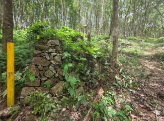 Agricultural Land for Sale in Pathanamthitta, Ranni, Chittar