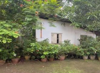 Commercial Building for Sale in Trivandrum, Neyyattinkara, Maranalloor, https://share.google/rXuF7OKTNppi5YOO5