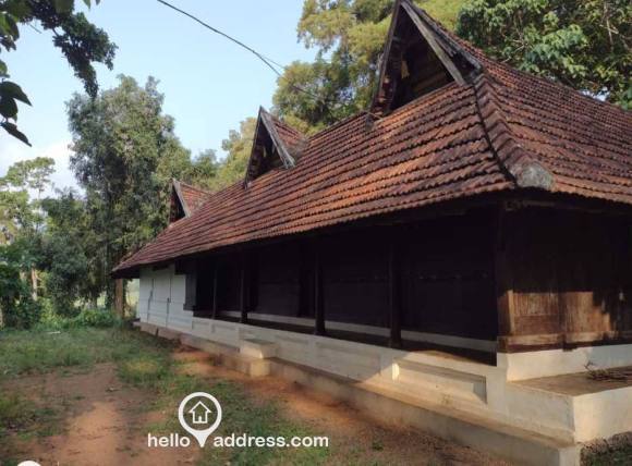 Residential House Villa for Rent