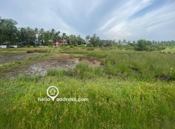 Residential Land for Sale