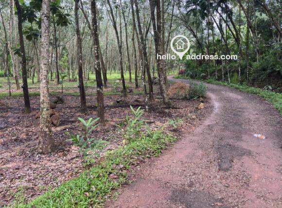 Residential Land for Sale