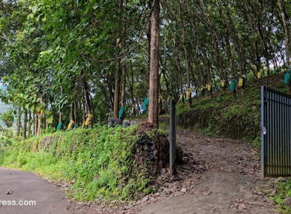 Agricultural Land for Sale