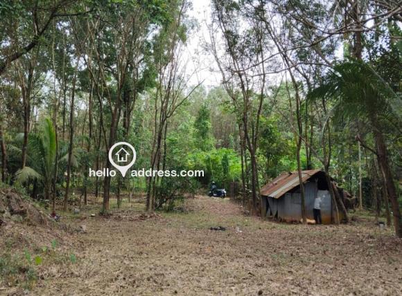 Residential Land for Sale