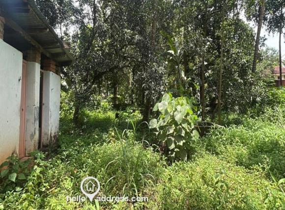Residential Land for Sale
