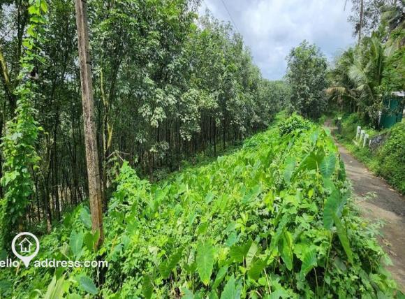 Agricultural Land for Sale
