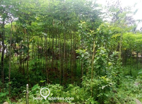 Residential Land for Sale