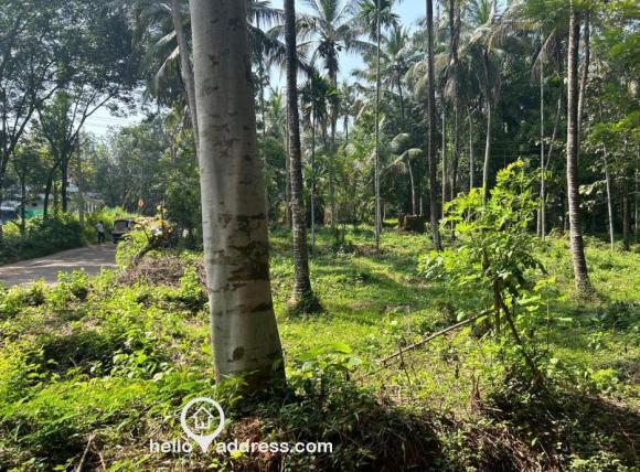 Residential Land for Sale