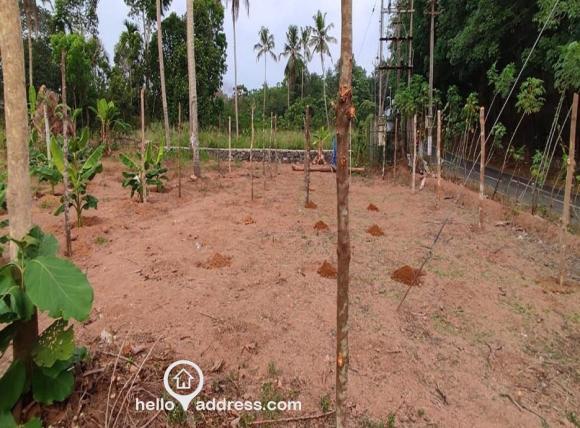 Residential Land for Sale