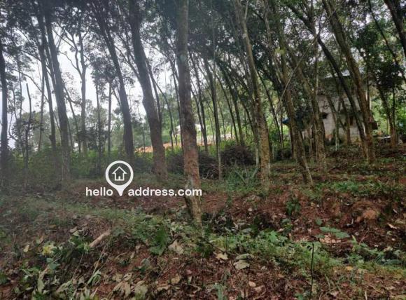 Residential Land for Sale