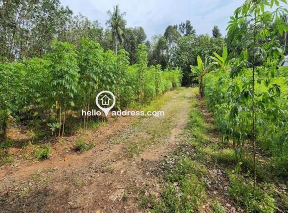 Residential Land for Sale