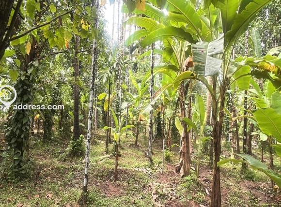 Residential Land for Sale