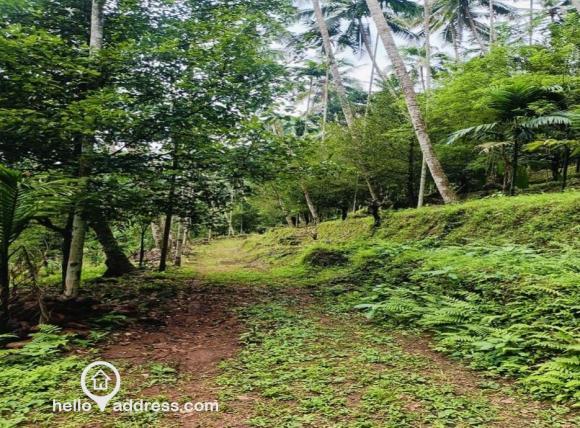 Residential Land for Sale
