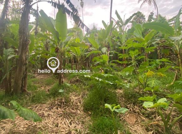 Residential Land for Sale