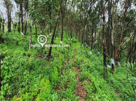 കൃഷി ഭൂമി വില്പനയ്ക്ക് 