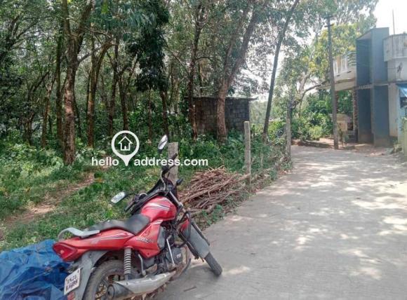 Agricultural Land for Sale