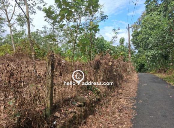 Agricultural Land for Sale