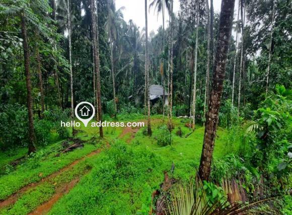 വാസയോഗ്യമായ ഭൂമി വില്പനയ്ക്ക് 