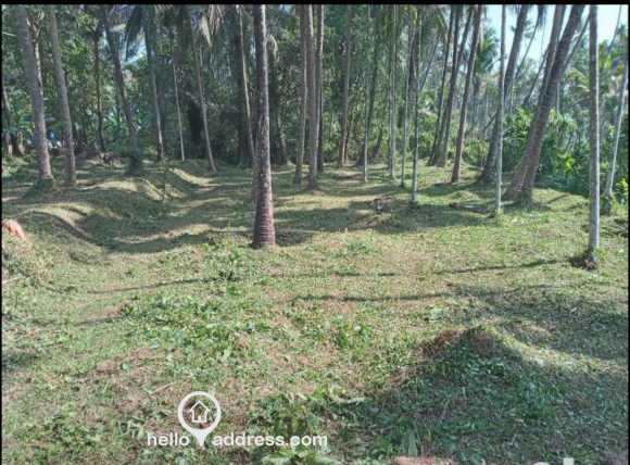 Residential Land for Sale