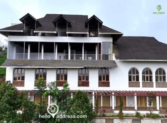 Commercial Building for Sale