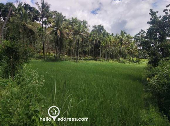 Residential Land for Sale