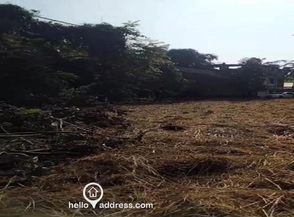 Industrial Land for Sale