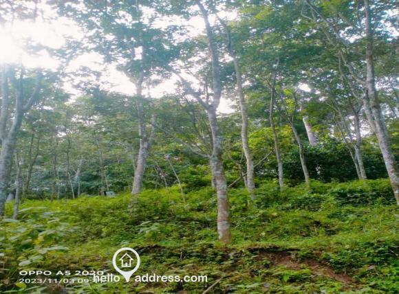 Agricultural Land for Sale