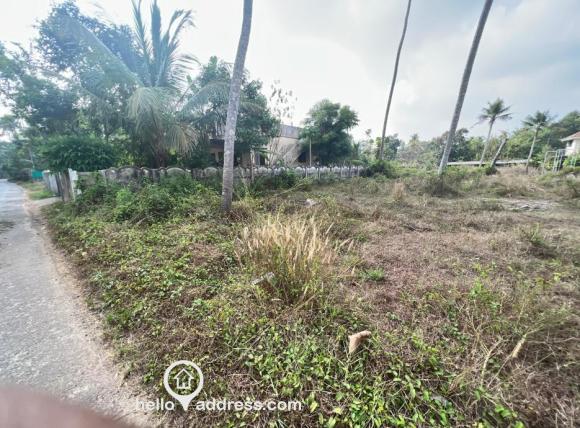 15 cents , converted to residential land, 1.5 kms from KSRTC Bus Stand - Irinjalakuda