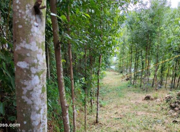 Commercial Land for Sale