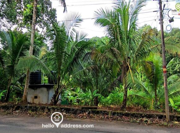 Residential Land for Sale