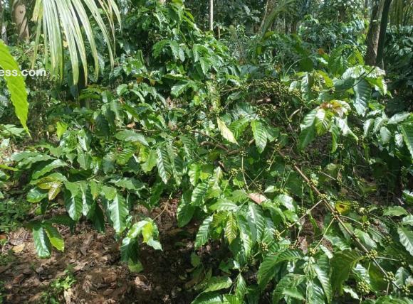 Residential Land for Sale