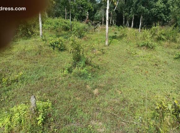 Residential Land for Sale