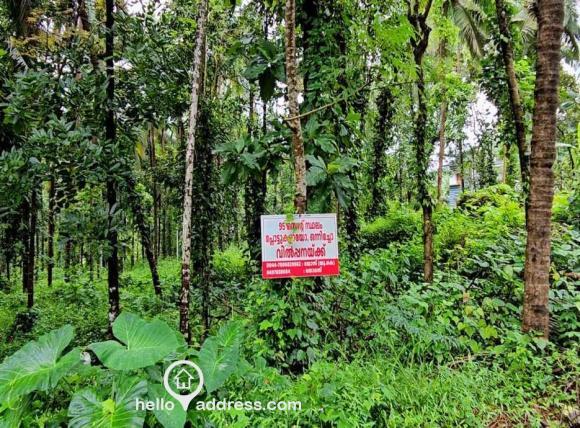 Residential Land for Sale