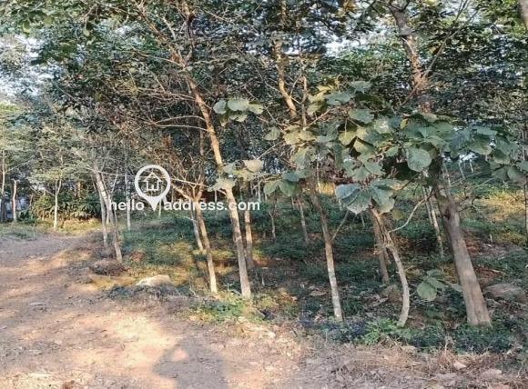 Residential Land for Sale
