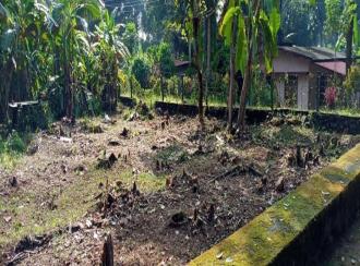 Residential Land for SaleKottayam, Kottayam town, Puthuppally