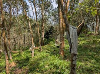 കൃഷി ഭൂമി വില്പനയ്ക്ക് Pathanamthitta, Malayalapuzha, Mukkuzhi