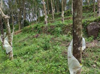 കൃഷി ഭൂമി വില്പനയ്ക്ക് Pathanamthitta, Malayalapuzha, Mukkuzhi