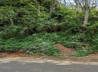 കൃഷി ഭൂമി വില്പനയ്ക്ക് Pathanamthitta, Malayalapuzha, Mukkuzhi