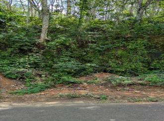 കൃഷി ഭൂമി വില്പനയ്ക്ക് Pathanamthitta, Malayalapuzha, Mukkuzhi