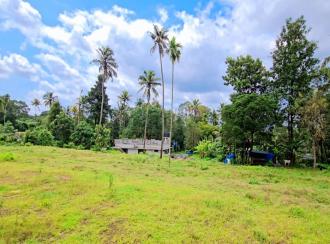 Residential Land for Sale
